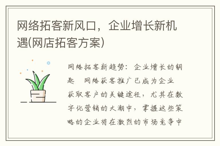 网络拓客新风口，企业增长新机遇(网店拓客方案)