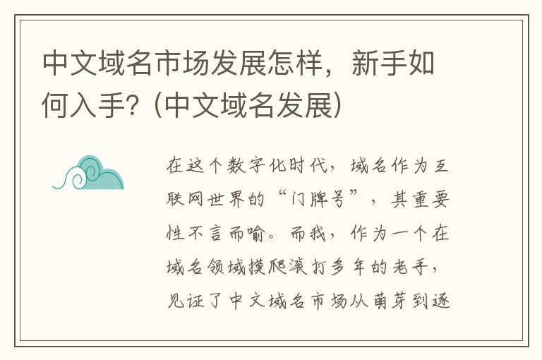 中文域名市场发展怎样，新手如何入手？(中文域名发展)