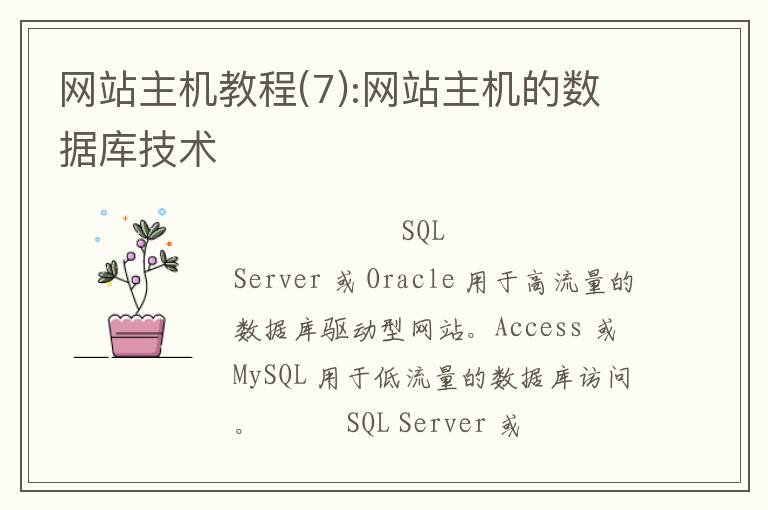 网站主机教程(7):网站主机的数据库技术