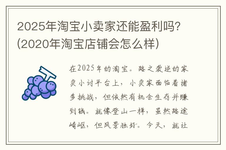 2025年淘宝小卖家还能盈利吗？(2020年淘宝店铺会怎么样)