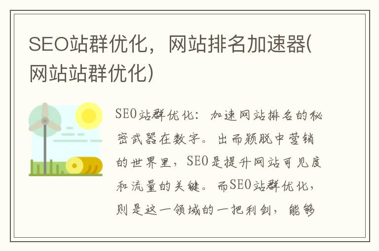 SEO站群优化，网站排名加速器(网站站群优化)