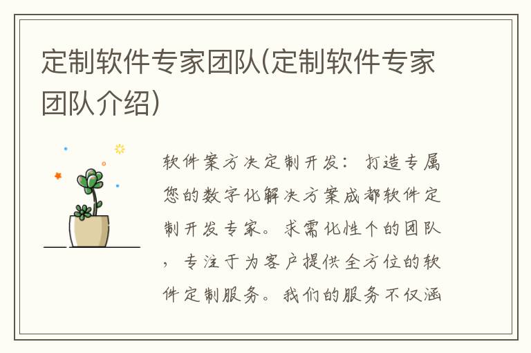 定制软件专家团队(定制软件专家团队介绍)