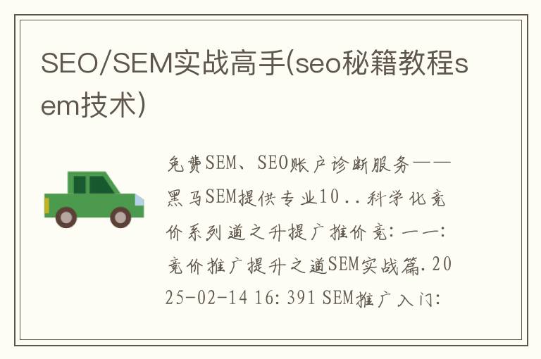 SEO/SEM实战高手(seo秘籍教程sem技术)