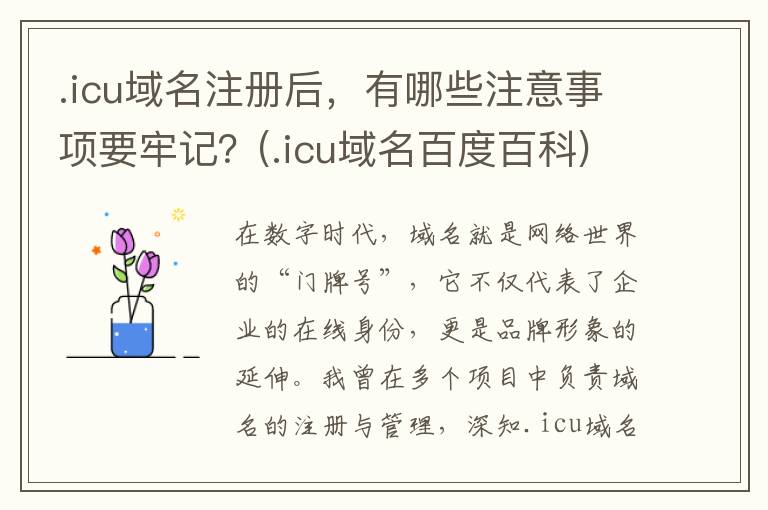 .icu域名注册后，有哪些注意事项要牢记？(.icu域名百度百科)