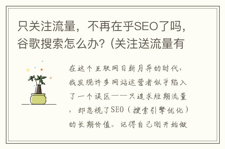 只关注流量，不再在乎SEO了吗，谷歌搜索怎么办？(关注送流量有用吗)