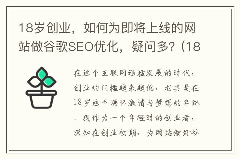 18岁创业，如何为即将上线的网站做谷歌SEO优化，疑问多？(18岁怎么创业挣钱)