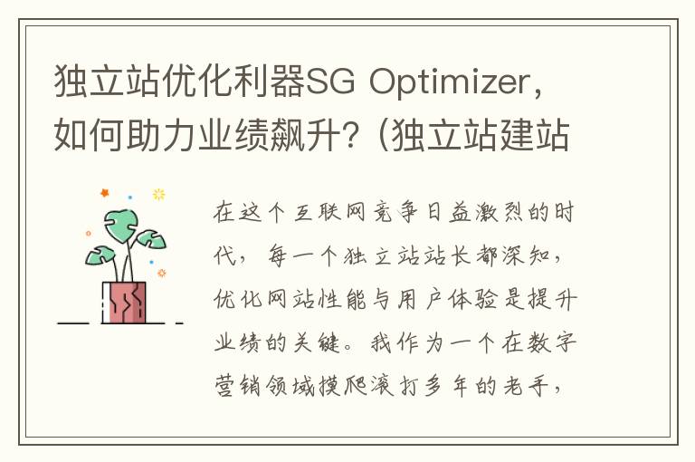 独立站优化利器SG Optimizer，如何助力业绩飙升？(独立站建站平台有哪些)
