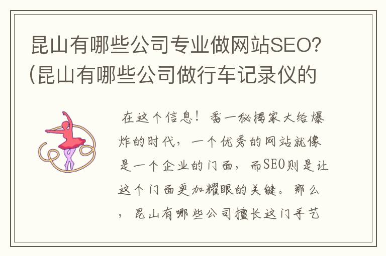 昆山有哪些公司专业做网站SEO？(昆山有哪些公司做行车记录仪的)